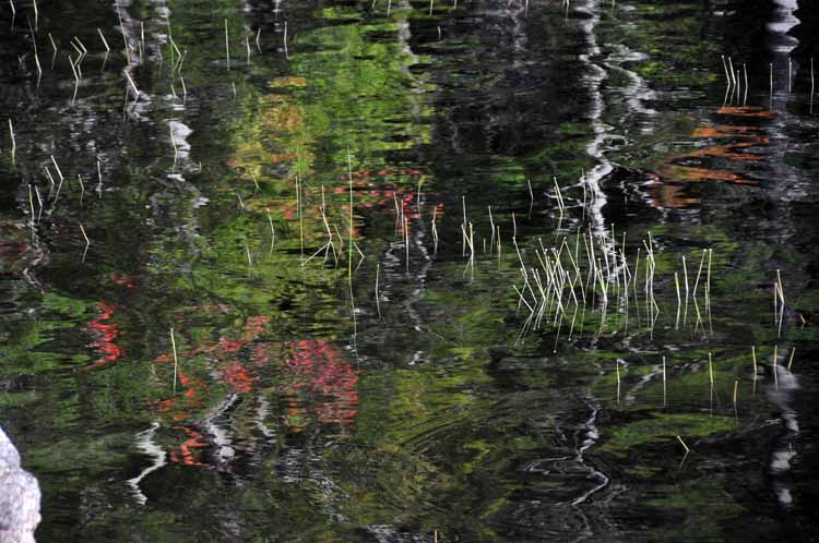 colors relected in rippling water